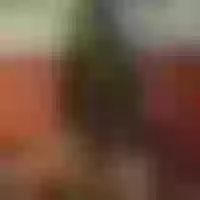 Live sex webcam photo for Kandy_selina #276250556