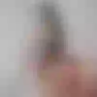 Live sex webcam photo for Karla_se #275875262