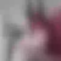 Live sex webcam photo for KarolCrazzy #275923355