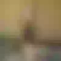 Live sex webcam photo for Kilye__ #277513517