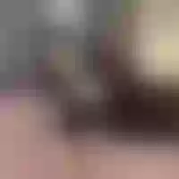 Live sex webcam photo for KiraLoan #277737325