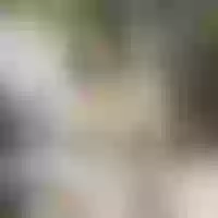 Live sex webcam photo for LIA_ANAL_ #277263345