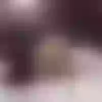 Live sex webcam photo for LUNA_SANTOS_ #276685887