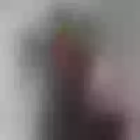 Live sex webcam photo for LallyWhite #277795642