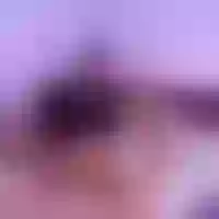 Live sex webcam photo for Latincouple71 #276266218
