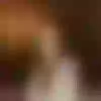 Live sex webcam photo for LaylaCarey #277581759