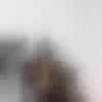 Live sex webcam photo for LeanWilliams #275822146