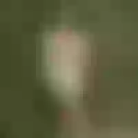 Live sex webcam photo for Lily_Lush #277644934