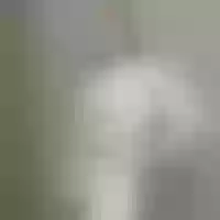 Live sex webcam photo for LisaInoske #277664166