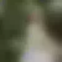 Live sex webcam photo for LucyPalmerf #277711389