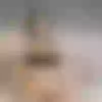 Live sex webcam photo for Lucyy_Vega #277457739