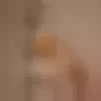 Live sex webcam photo for Madison-WM #276663686
