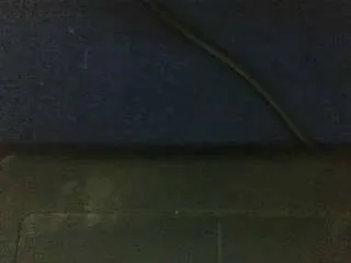 Live sex webcam photo for MagrinhaCrazy #273219787