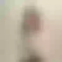 Live sex webcam photo for MaryJohnsonb #277722308