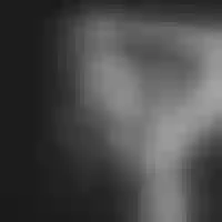 Live sex webcam photo for MeganBiner #277818241