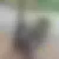 Live sex webcam photo for Melanie_Miiller #277429548