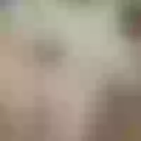Live sex webcam photo for Mila_Sweeet
