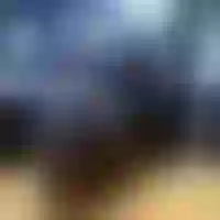 Live sex webcam photo for Miss-Tee22 #277641814