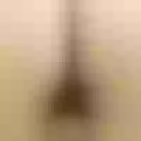 Live sex webcam photo for MissAangell #276589261
