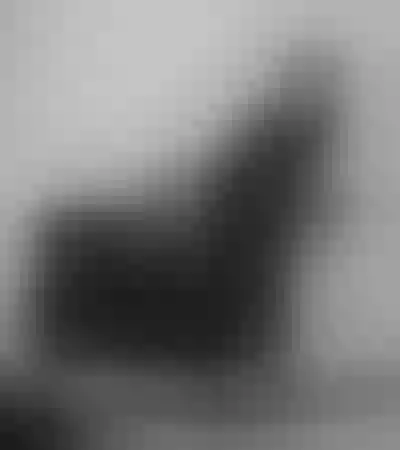 Live sex webcam photo for MollyMood77 #275434762