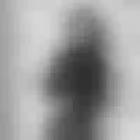 Live sex webcam photo for MollyWood7 #277800780