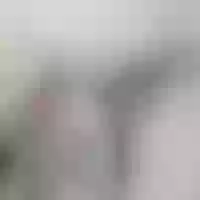 Live sex webcam photo for MrJhosonn_Penny #277556187