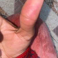 Live sex webcam photo for Nenokidiwani #277239334