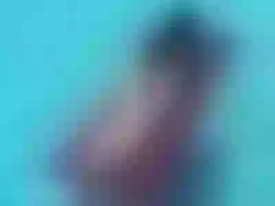 Live sex webcam photo for New_Sensations #275587031