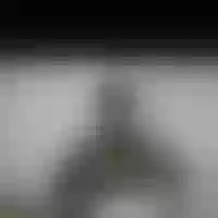 Live sex webcam photo for Nicolah0