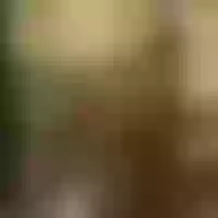 Live sex webcam photo for NicolleeEvanss