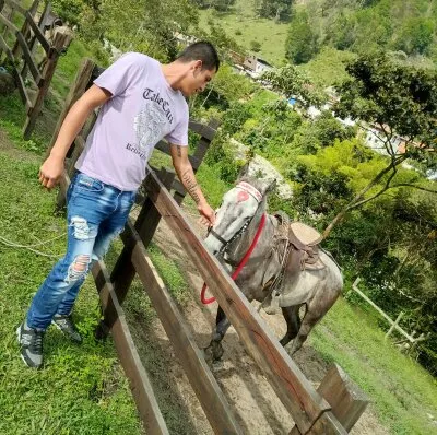 Live sex webcam photo for Noaseductive #275658077