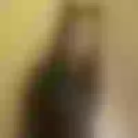 Live sex webcam photo for OnepuchMans #277706626