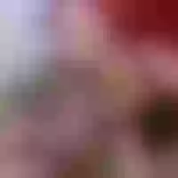 Live sex webcam photo for Pepper_corn