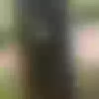 Live sex webcam photo for Pretty_swit #277716807
