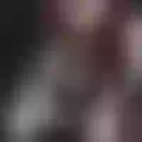 Live sex webcam photo for ROSE-CARRY #277957483