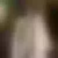 Live sex webcam photo for Rita_Wellis #277177170