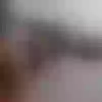 Live sex webcam photo for Rousse_Vera #277487758