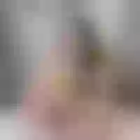 Live sex webcam photo for SadisticEve #277614134