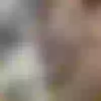 Live sex webcam photo for Saidoll #276269467