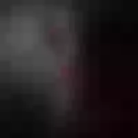 Live sex webcam photo for SamantaDavis #277671614