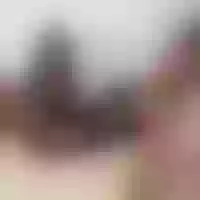 Live sex webcam photo for SexyHotModel #276137393