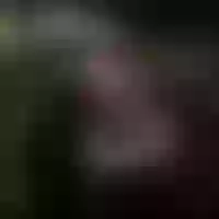 Live sex webcam photo for Sexy_MomBigtits #277504738