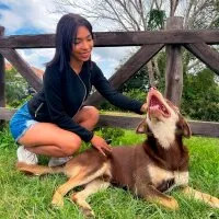 Live sex webcam photo for Sharon_Colin #275743250