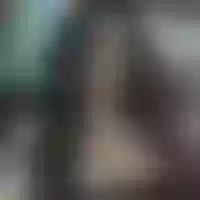 Live sex webcam photo for SheilaConors #277836065