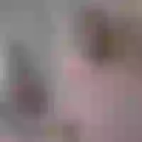 Live sex webcam photo for ShillaSunn #275909229