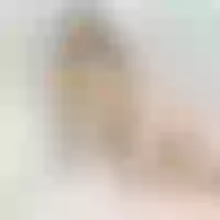 Live sex webcam photo for SquirtyAlice
