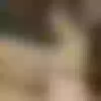 Live sex webcam photo for Sunshinee-