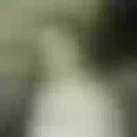 Live sex webcam photo for Sweet_Elfi #277744347
