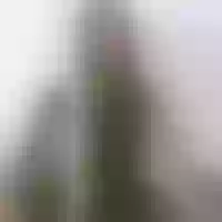 Live sex webcam photo for Tammy-Cute #277552854