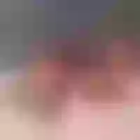 Live sex webcam photo for The_sweetc #276284009